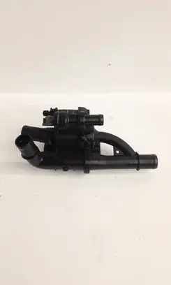 Thermostat/thermostat housing
