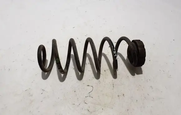 Rear coil spring