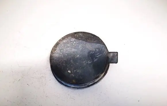 Headlight/headlamp dust cover