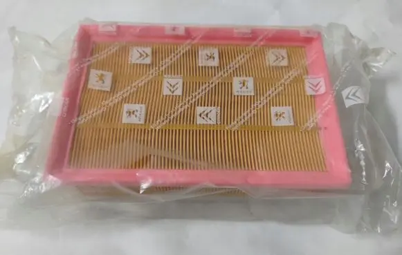 Peugeot 307 Air filter 1444TZ