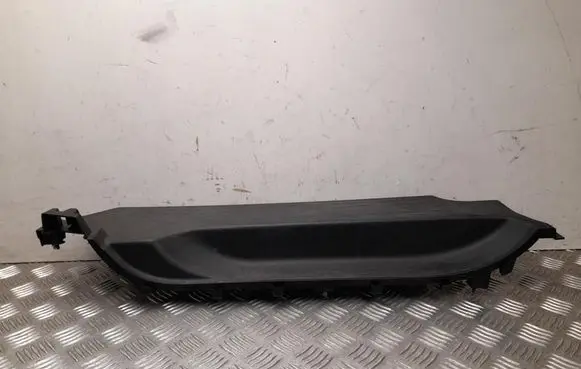 Renault Kangoo III Front sill trim cover 769535989R