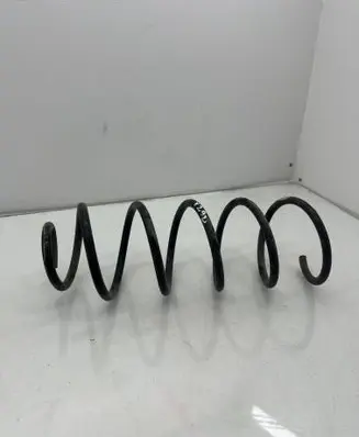 Rear coil spring