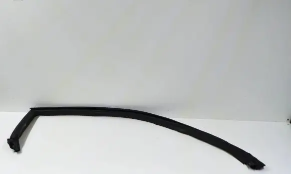 Dodge Challenger Rubber seal front door (on door) 04575890