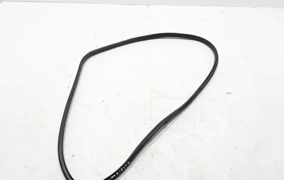Renault Megane IV Rear door rubber seal (on body) 769230508R