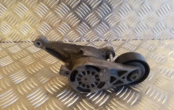 Volkswagen Golf V Alternator belt tensioner 03G9033150 F65461