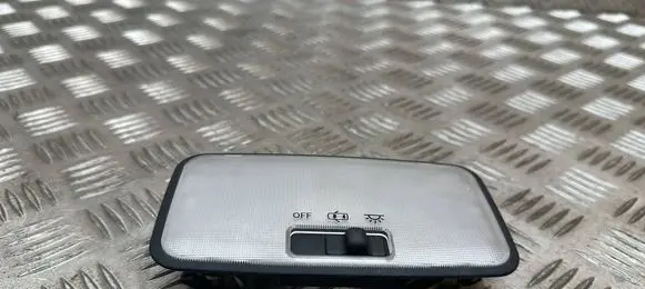 Toyota RAV 4 (XA40) Rear seat light