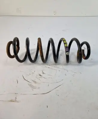 Volkswagen PASSAT B6 Rear coil spring