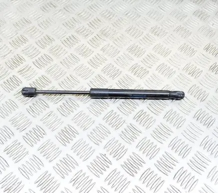 Ford Mustang VI Tailgate/trunk strut/damper FR3B63406A10AB