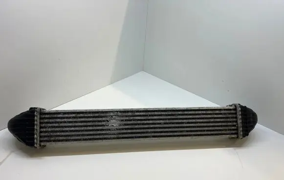 Mercedes-Benz B W245 Intercooler radiator A1695000000 G0976002 N0284613