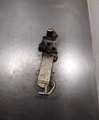 Skoda Yeti (5L) EGR valve 03l131512 0280751012 11725504