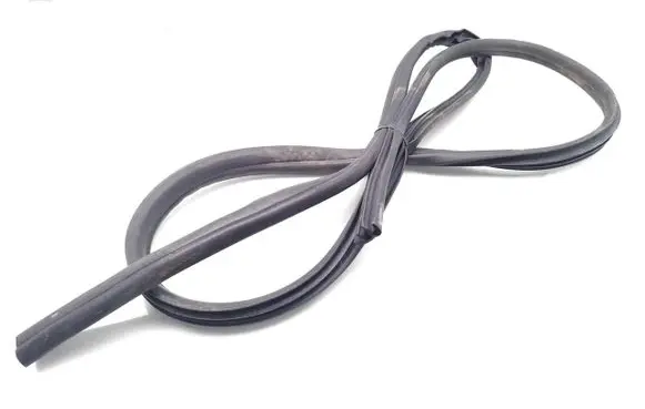 Ford Ecosport Front door rubber seal 