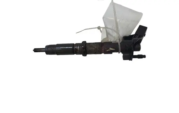 Volkswagen Crafter Fuel injector 0445115029 076130277