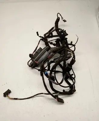 BMW 6 F12 F13 Front door wiring loom 9259835