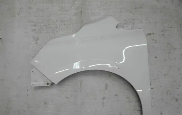 Renault Kangoo III Fender BLOTNIKKANGO4