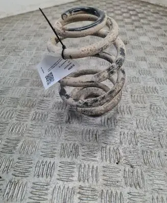 Rear coil spring