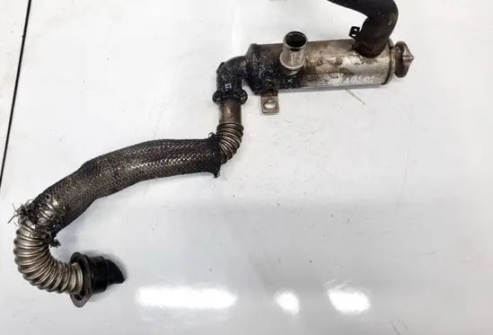 Citroen Berlingo EGR valve cooler 9646762280