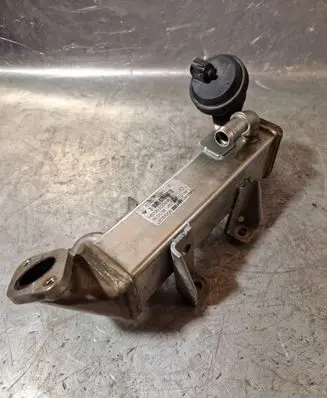 Renault Koleos I EGR valve cooler 8200719993B L0281006 H8200620695