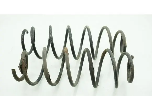 Rear coil spring