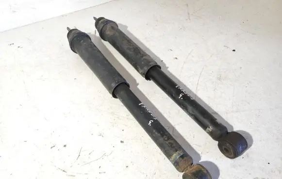 Mitsubishi Grandis Rear shock absorber/damper