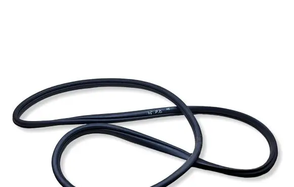 Hyundai Ioniq 5 Front door rubber seal 