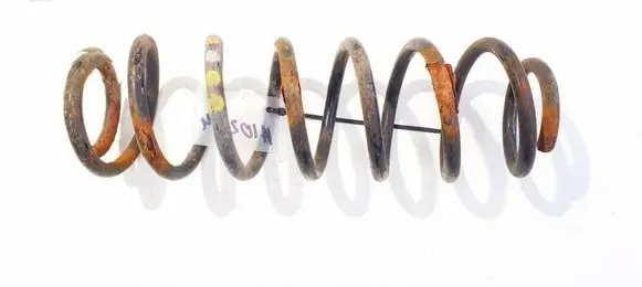 Rear coil spring