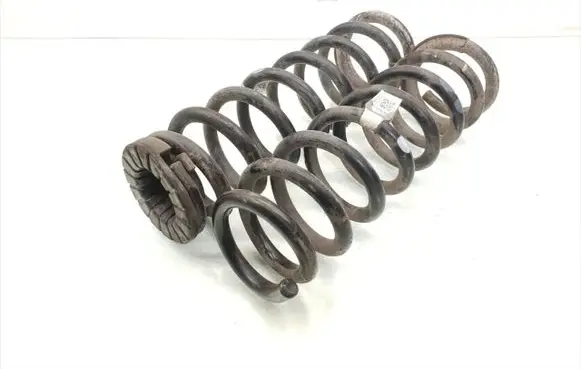 Rear coil spring