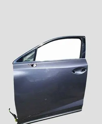 Lexus NX Front door