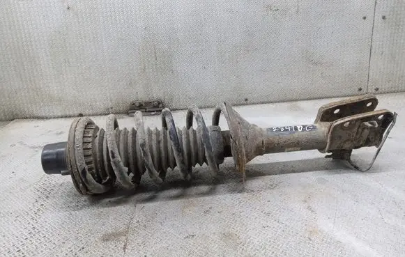 Land Rover Freelander Rear shock absorber with coil spring 
