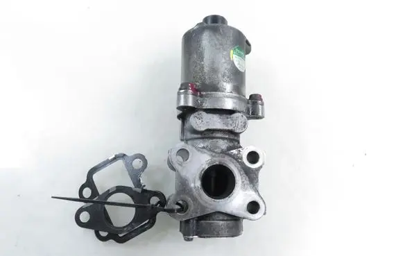 Toyota RAV 4 (XA30) EGR valve VN1350007161 2562026091