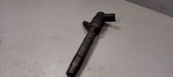 KIA Picanto Fuel injector 0445110256 338002A400