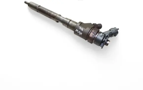 Citroen C5 Fuel injector 0445110311