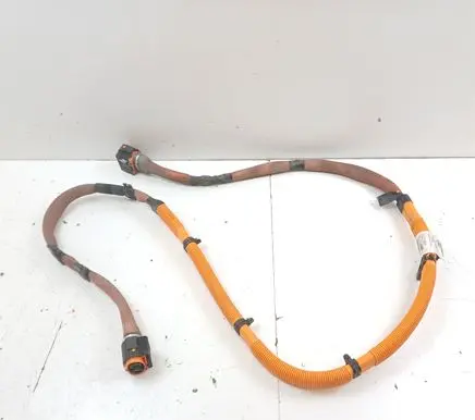 Renault Kangoo II Other wiring loom 165600918R