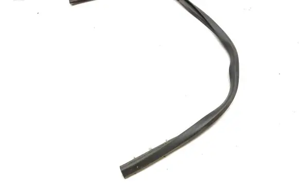 Lexus IS III XE30 Rubber seal front door (on door) 