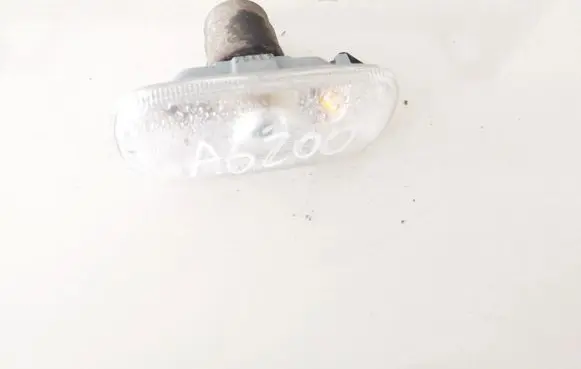 Front fender indicator light