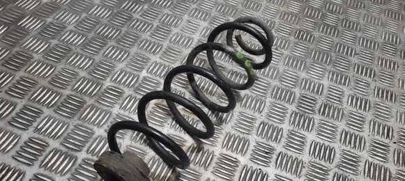 Rear coil spring