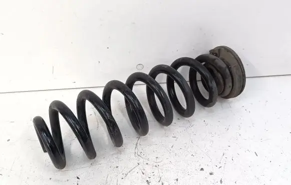 Opel Insignia B Rear coil spring