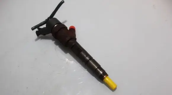 Renault Scenic II - Grand scenic II Fuel injector 0445110110