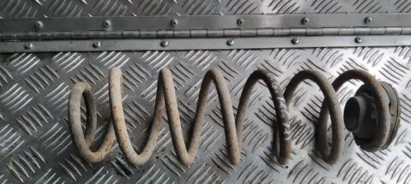 Volkswagen Golf IV Rear coil spring