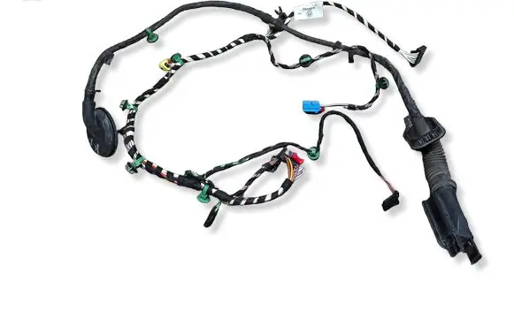 Volkswagen PASSAT B8 Front door wiring loom 3G1971120K
