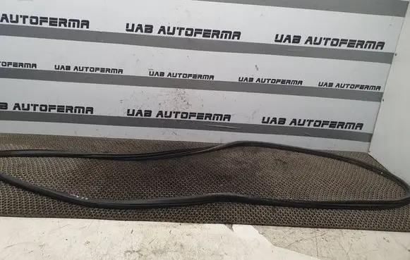 Nissan Murano Z51 Front door rubber seal 
