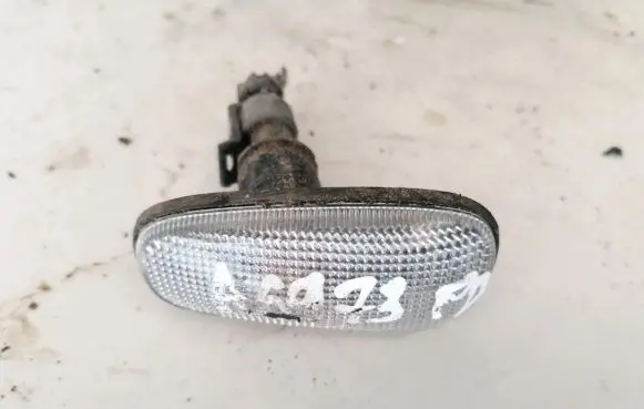 Front fender indicator light
