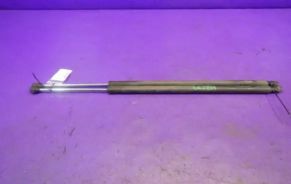 Tailgate strut