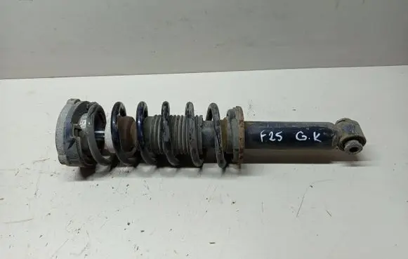 BMW X3 F25 Rear shock absorber with coil spring 6796317