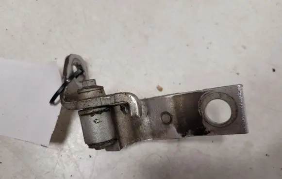 Rear door lower hinge