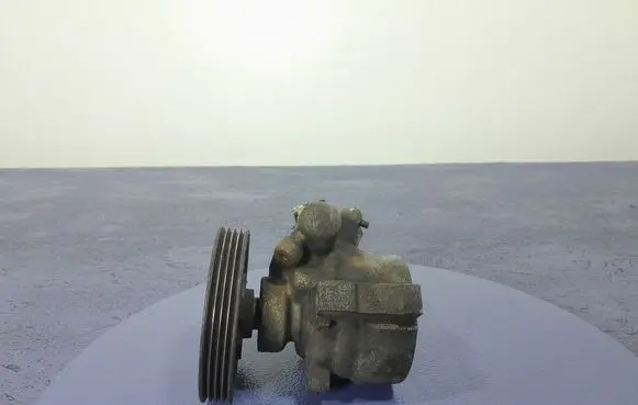 Dacia Sandero Power steering pump 7700419118