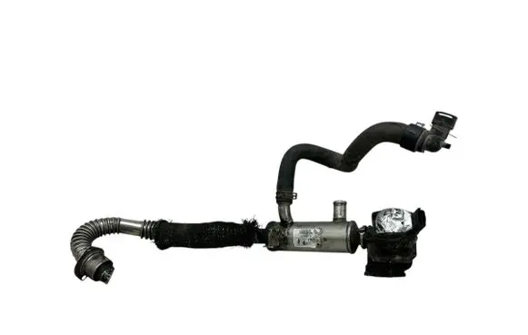 EGR valve