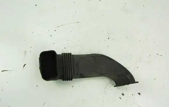 Renault Laguna III Air intake hose/pipe 244930001R