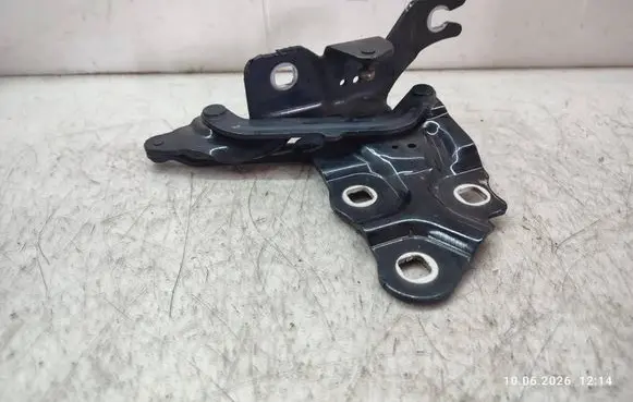 BMW X4 F26 Engine bonnet/hood hinges 7210729