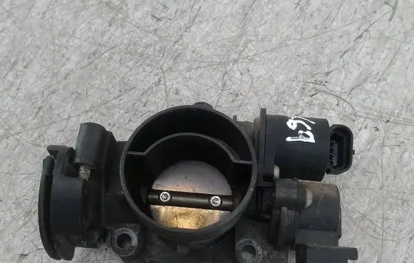 Citroen C2 Throttle body valve 0012037D1