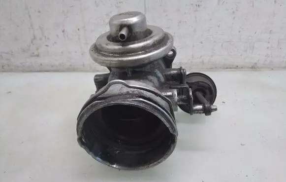 Volkswagen Golf IV EGR valve 038129637
